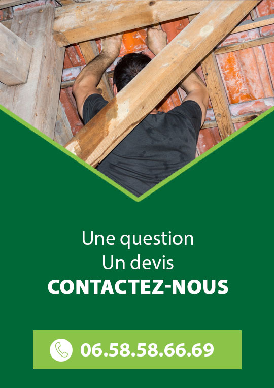 contact-image